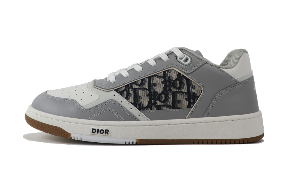 Dior B27 Low-Top Gray